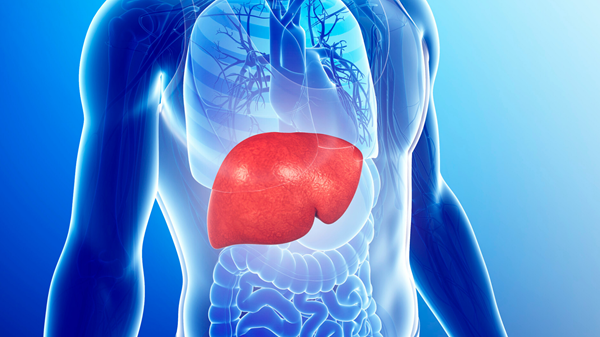 Nutraceuticals Company in India