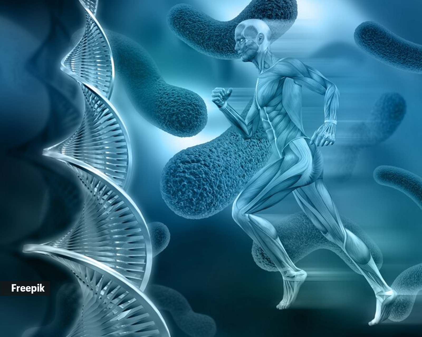 Trusted Nutraceuticals Company in India